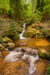 Fototapeta premium The Gertelbach waterfall in the Bühler valley, Northern Black Forest. Baden-Wuerttemberg, Germany, Europe