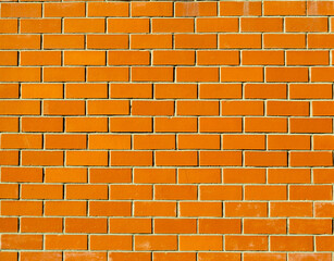 A yellow brick wall on a spring day.