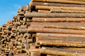 Warehouse of wooden logs in a warehouse on the street.