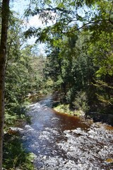 Regional park of the Gentilly river