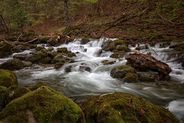 Naklejka na ściany i meble beautiful long exposure view of flowing water in the river with rocks at forest