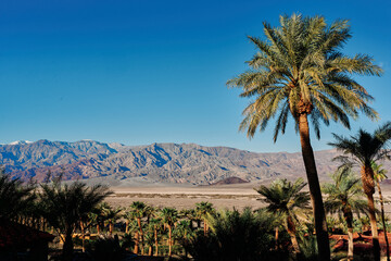 A family hike from Zabriskie Point in Death Valley national park in california. Huge sand dunes,...