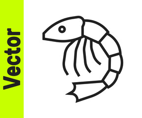 Black line Shrimp icon isolated on white background. Vector