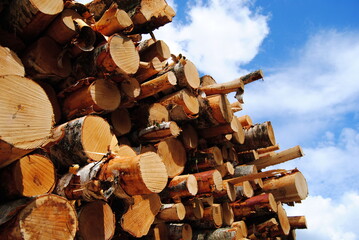 Stack of logs against a cloudy blue sky
