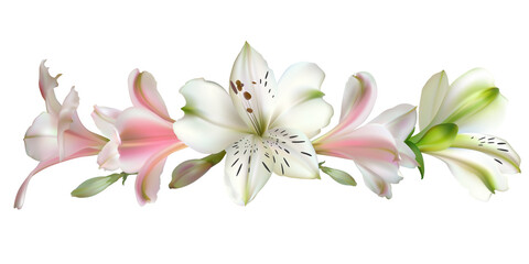 Fototapeta na wymiar Flowers. Bouquet. Pink and white lilies. Isolated.