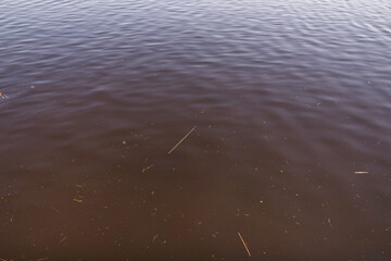 Very dirty water in the river. Fresh water pollution environmental problem concept.