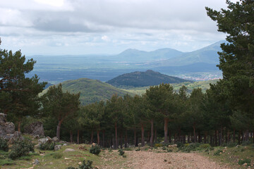 Fototapeta na wymiar krajobraz góry natura drzewa widok przyroda