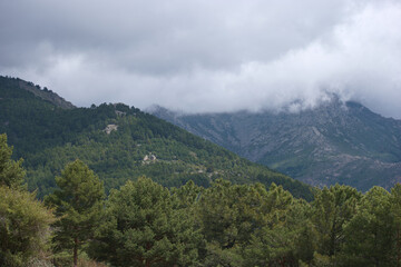 Fototapeta na wymiar krajobraz góry natura drzewa widok przyroda