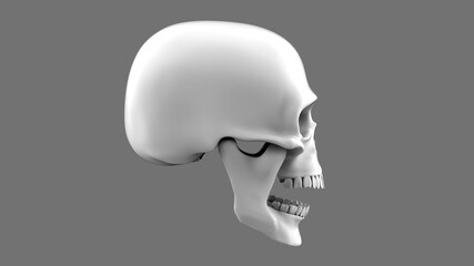 Skull with open mouth on a gray background. 3d render skull in profile