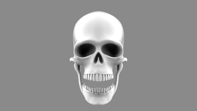 3d render full face skull with open mouth on a gray background