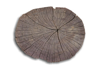Death tree stump texture isolated on white background. This has clipping path. 