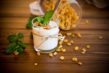 sweet homemade yogurt with raisins in a glass