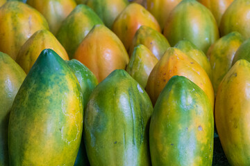 pile of group fresh tropical green papayas group together