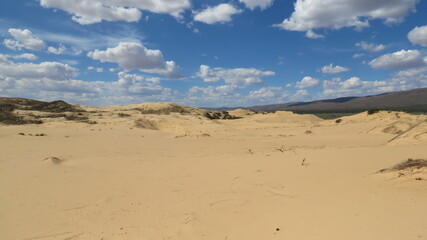 Fototapeta na wymiar Kalahari Desert