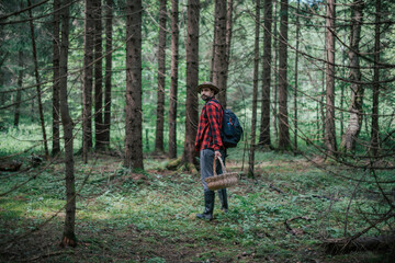 Fototapeta premium A young male mushroom picker with a large basket looks for, collects mushrooms in the forest.