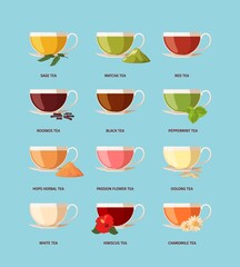 Tea types. Different drinking beverage products in glass cups tasty morning hot tea black green red rooibos garish vector helthy liquids