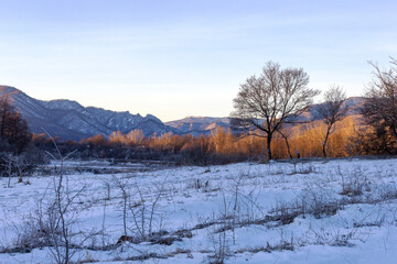 Frosty winter morning in nature, warm morning light on the background of snow, shrubs and trees in patterns of frost.