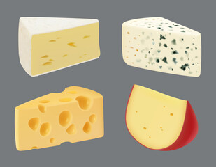 Cheese realistic. Tasty gourmet sliced food culinary milk products appetizer breakfast time mozzarella cheese decent vector templates collection isolated