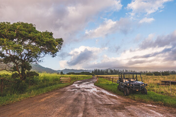 scenic view of dirt road in tropical landscape with clouds and sky.