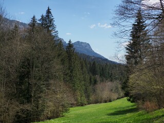 Vercors, falaise