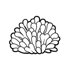 Round anemone coloring book linear drawing isolated on white background