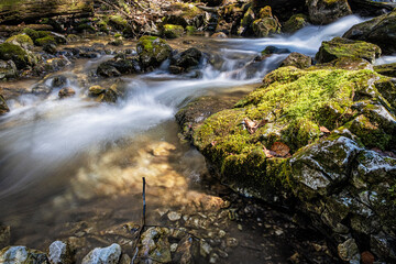 Fototapeta na wymiar Flowing creek, Velky Sokol gorge, Slovak Paradise national park