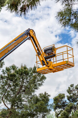 yellow platform lift over the treetops to prune tree branches