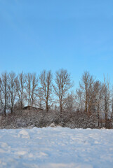 snow covered trees beautiful landscape color block blue sky white snow