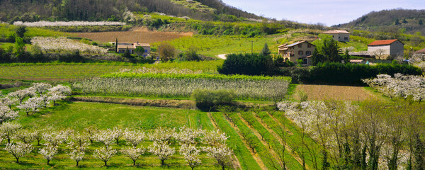 Panoramique panorama sur cultures et pommiers en fleur du massif central, département de l'Ardèche en région Auvergne-Rhône-Alpes, France