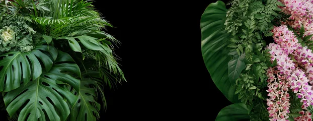 Gordijnen Tropical plant leaves with orchid flower bushes (monstera, fern, palm, philodendrons and cabbage) floral arrangement nature backdrop on black background, nature frame border forest background. © Chansom Pantip
