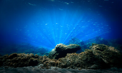 Underwater light