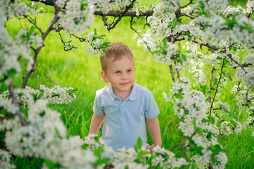funny little boy on the lawn in the flowering spring garden. happy childhood. 