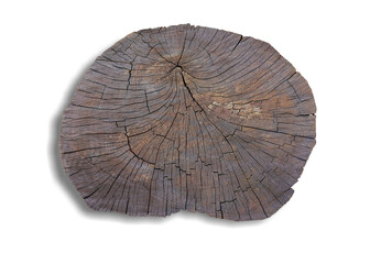 Death tree stump texture isolated on white background. This has clipping path. 