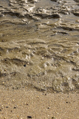 Wadden sea landscape structure