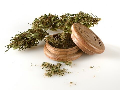 Dechavar maconha