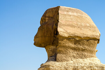 head of an antique statue of the Sphinx in Giza Egypt