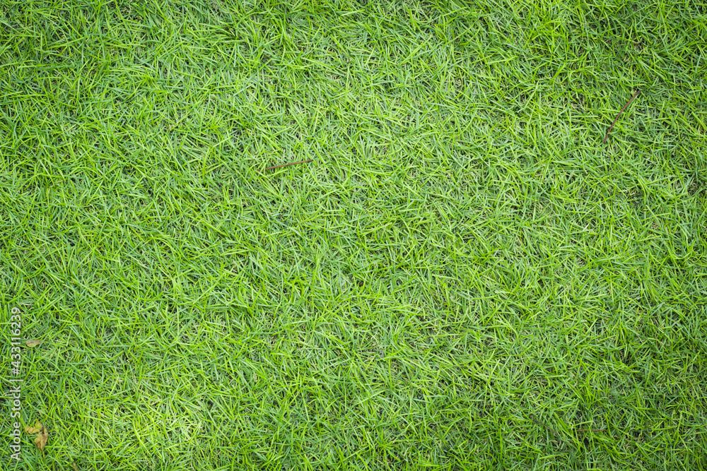 Sticker grass texture for background