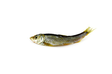 dried river fish