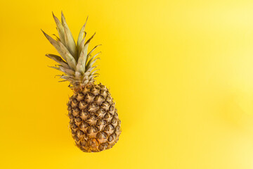 Pineapple on a illuminate yellow background. Minimalist depiction of summer fruit. Neon yellow color is in trend. Pastel colors are popular. Summer is coming.
