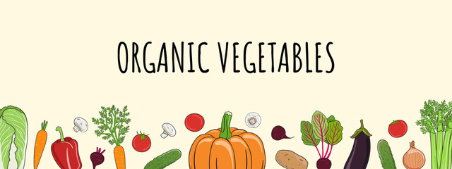 Vegetables wide frame. Organic market banner and healthy food template. Concept of fresh farm products. Hand drawn vector illustration.