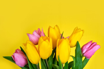 Spring flowers, bouquet of pink tulips on yellow background copy space.