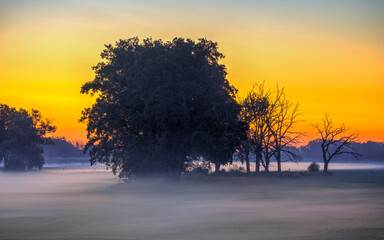 Morgens in der Altmark