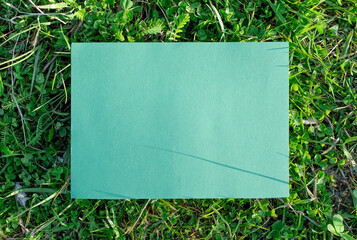 Blank on green grass backround, mock-up, nature concept