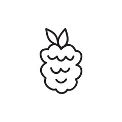 Raspberry fruit cute simple vector icon drawing