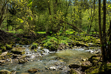 Fluss Schandtauber im Frühling bei Rothenburg