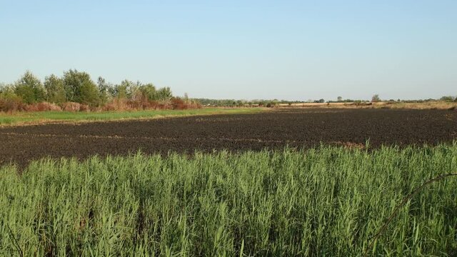 Large patch of birds habitat burned by fire out of control from agricultural burning