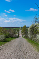 Fototapeta na wymiar paved rural road in spring