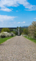paved rural road in spring