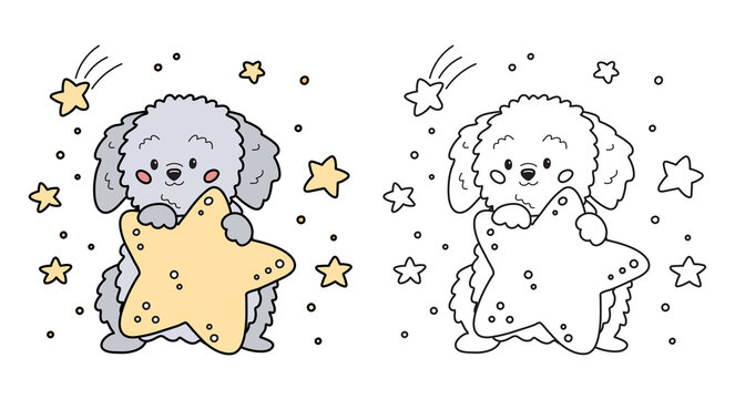 Coloring page for children. Cute cartoon dog with stars. Labradoodle puppy character. Vector illustration for preschool children, game, print and education.