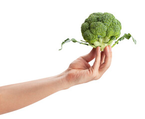 Naklejka na ściany i meble broccoli in hand path isolated on white